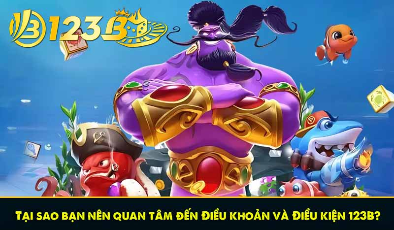 ĐIỀU KHOẢN VÀ ĐIỀU KIỆN 62 Tại sao bạn nên quan tâm đến Điều khoản và Điều kiện 123B?
