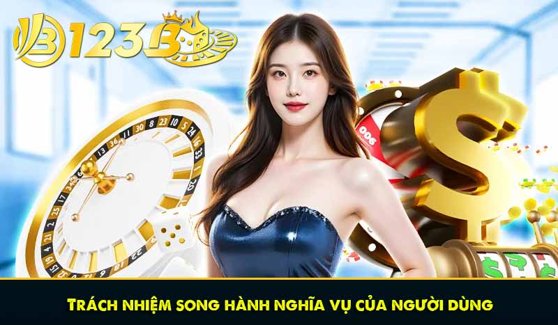 ĐIỀU KHOẢN VÀ ĐIỀU KIỆN 66 Trách nhiệm song hành nghĩa vụ của người dùng